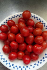 家庭菜園のプチトマト豊作です(^o^)v