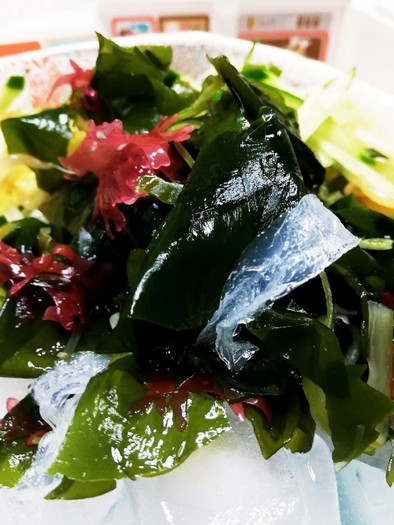 氷上の海藻サラダの写真