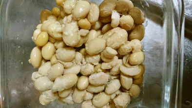 好きな納豆菌で。手作り納豆(HB使用)の写真