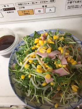 もやしと豆苗の中華サラダ