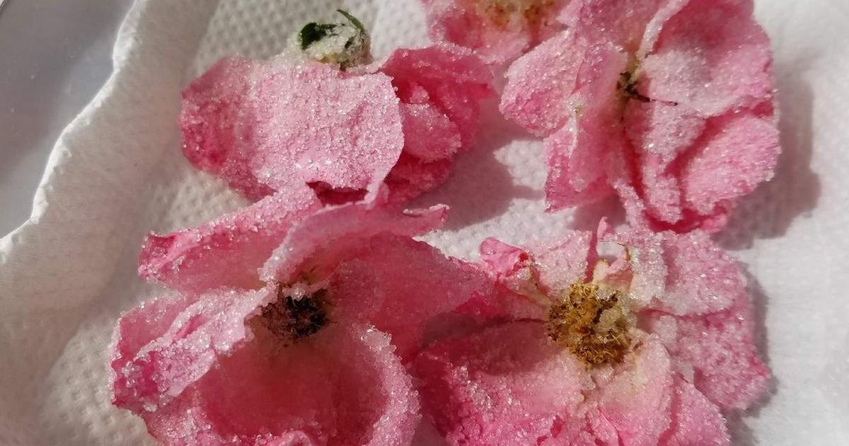 身近な花で作る宝石 お花の砂糖漬け レシピ 作り方 By 世界の台所探検家 クックパッド 簡単おいしいみんなのレシピが351万品