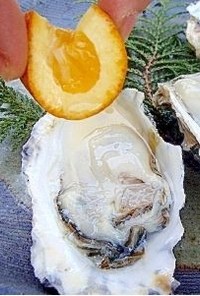 若牡蠣の開き方と酢牡蠣　(よか魚)