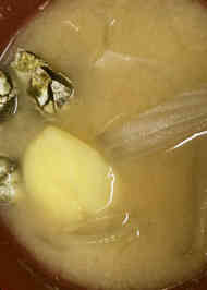 みんなが作ってる 亀の手 みそ汁のレシピ クックパッド 簡単おいしいみんなのレシピが367万品