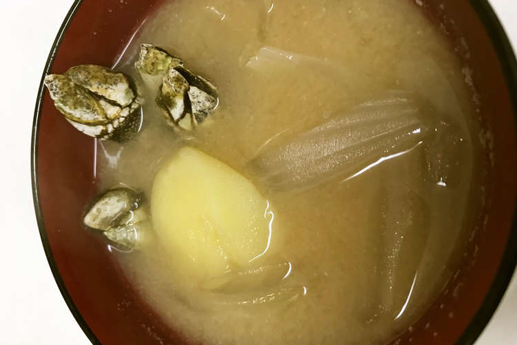 屋久島貝料理特選 亀の手 味噌汁 レシピ 作り方 By こっちたん クックパッド 簡単おいしいみんなのレシピが364万品