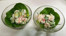 簡単!カニかまと胡瓜サラダ菜のサラダ☆