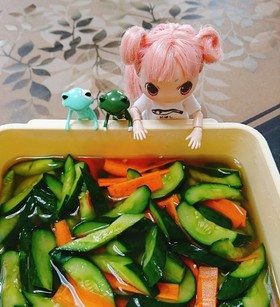 簡単やみつき『白だしの浅漬け』♡.°⑅