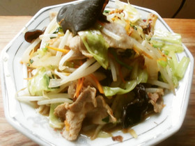 五目(肉)野菜炒め♪