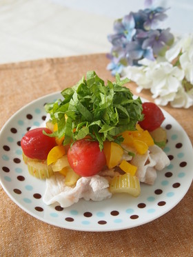 vol.14 冷しゃぶ夏野菜ピクルスのせ