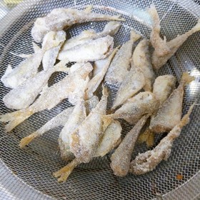 小アジの唐揚げ