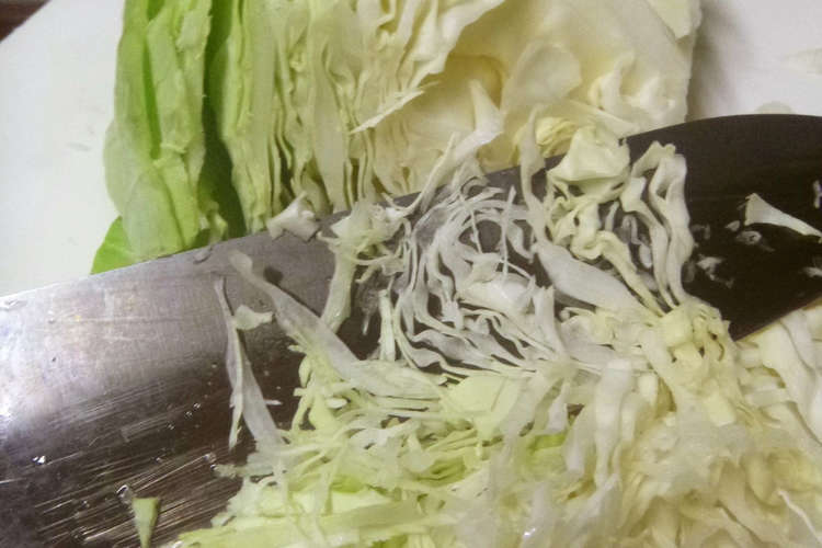 最も好ましい キャベツ 断面 無料の公開画像