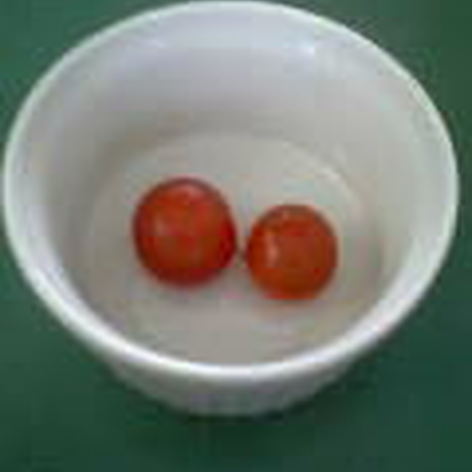 しわしわのプチトマトが復活！！