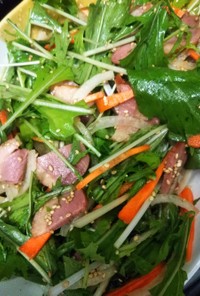 鴨パストラミと水菜の中華風サラダ