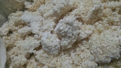 自家製　米麹作りの写真