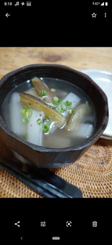 大根と茄子の粒胡椒スープ