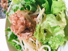もやしレタスサラダ