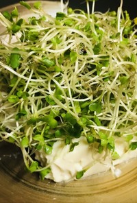 くずし豆腐とスプラウトの胡麻ドレサラダ