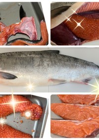 【基本】鮭の捌き方
