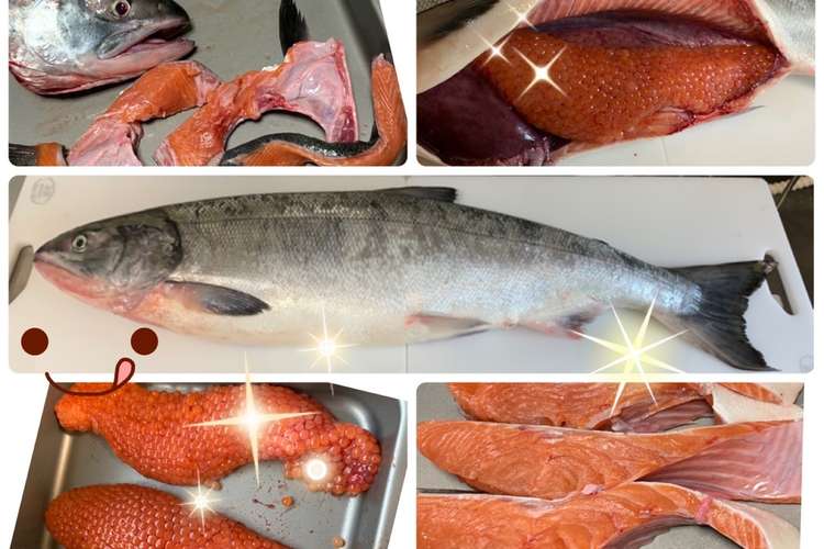 基本 鮭の捌き方 レシピ 作り方 By ファットマン小川 クックパッド 簡単おいしいみんなのレシピが361万品