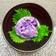 シャドークイーンのマッシュポテト紫陽花
