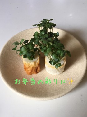 お弁当すき間に!簡単♡ちくわ&スプラウト