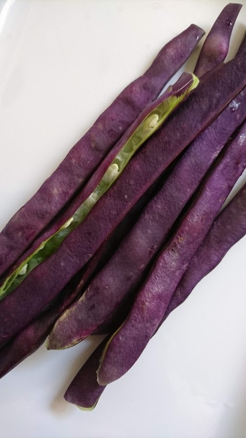 紫インゲン豆！塩焼！バター醤油！天麩羅！の画像