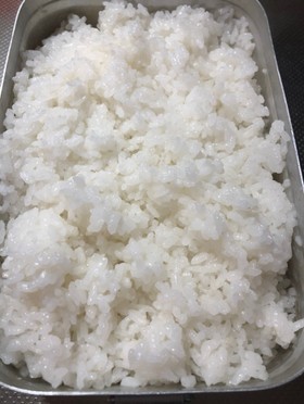 ラージメスティン自動炊飯 2合キャンプ飯