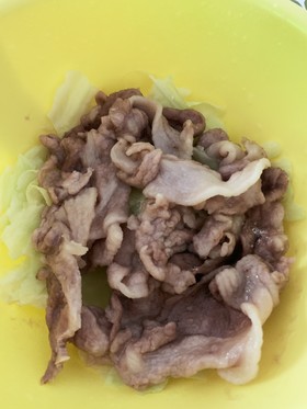 ズボラ女子飯w豚キャベツ温野菜