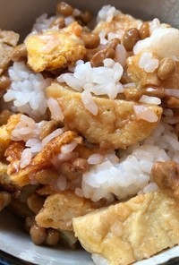 納豆と豆腐でつくったナゲットのご飯