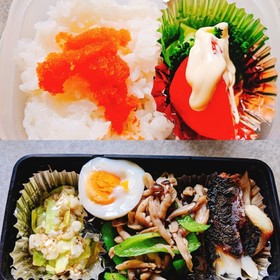 さばの塩焼き弁当
