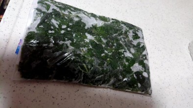 モロヘイヤ 冷凍 保存の写真