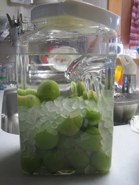 自家製なのに☆しわしわにならない梅酒
