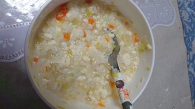 お腹を壊した10ヶ月の赤ちゃんの離乳食