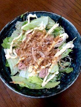 簡単!サラダうどん