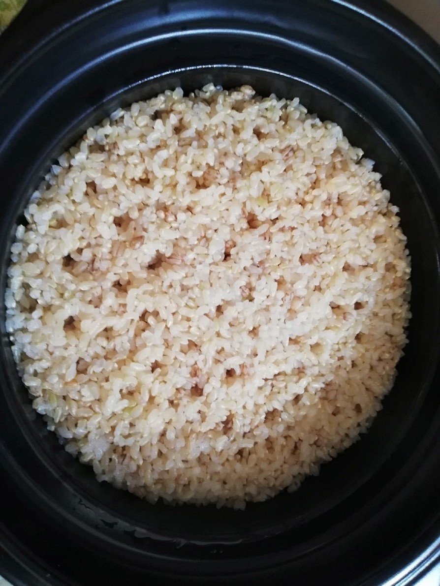 HARIOの土鍋で玄米ごはんの画像
