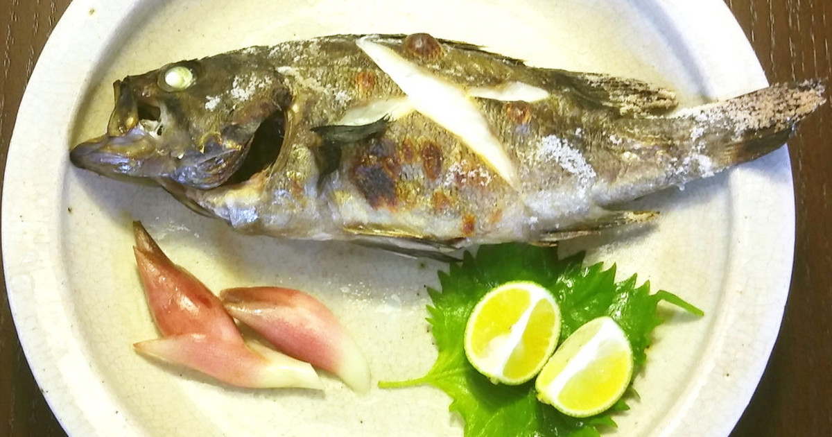 ソイとは一体どんな魚 レシピ 旬な時期 釣り方 仕掛け さばき方を解説 釣りラボマガジン