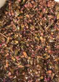 みんなが作ってる 穂紫蘇のレシピ クックパッド 簡単おいしいみんなのレシピが355万品