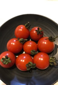しわしわのミニトマト復活！
