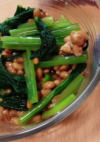 【栄養満点！節約！】小松菜と納豆の和え物