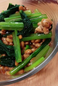 【栄養満点！節約！】小松菜と納豆の和え物