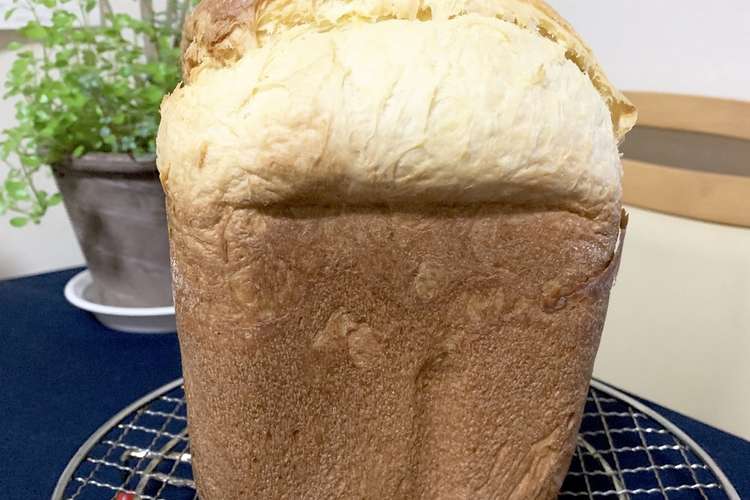 キノコ ラベ ペインギリック 天然 酵母 ホームベーカリー Hikone Convention Jp