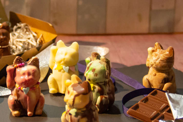 恋を招く にゃんこバレンタインチョコ レシピ 作り方 By はぴねこクッキング クックパッド 簡単おいしいみんなのレシピが363万品