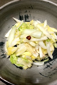 白菜のラーパーツァイ(NHKあさイチ)