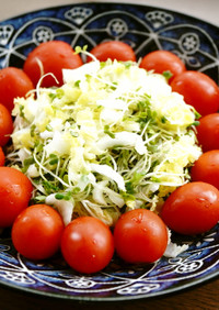 白菜・スプラウト・プチトマトのサラダ