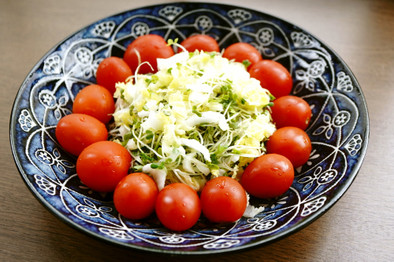 白菜・スプラウト・プチトマトのサラダの写真
