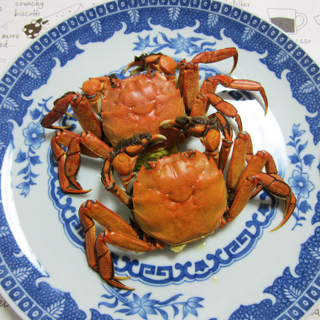 モクズガニ 蒸し蟹 レシピ 作り方 By クックgonbao クックパッド 簡単おいしいみんなのレシピが353万品