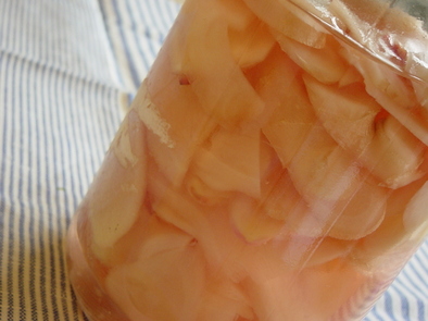 母の味◆新生姜の甘酢漬けの写真