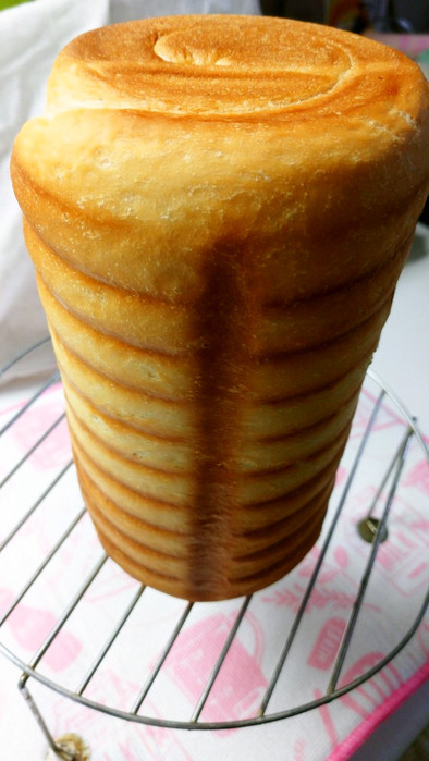 トヨ型でラウンドパンの写真