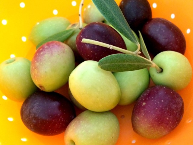 少量版 オリーブ塩漬け 苛性ソーダ使用 レシピ 作り方 By クック9vxdad クックパッド 簡単おいしいみんなのレシピが357万品