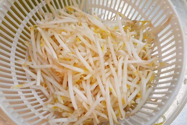 もやしを シャキッ と炒める為の下処理 レシピ 作り方 By ゆき５ クックパッド 簡単おいしいみんなのレシピが354万品