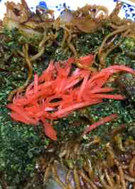 みんなが作ってる マルちゃん焼きそば アレンジのレシピ クックパッド 簡単おいしいみんなのレシピが368万品